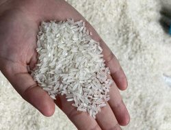 Pemerintah Naikkan Harga Eceran Tertinggi Beras